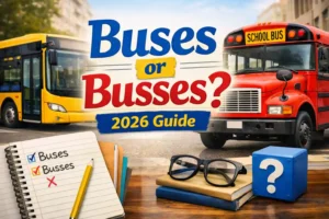 Buses or Busses